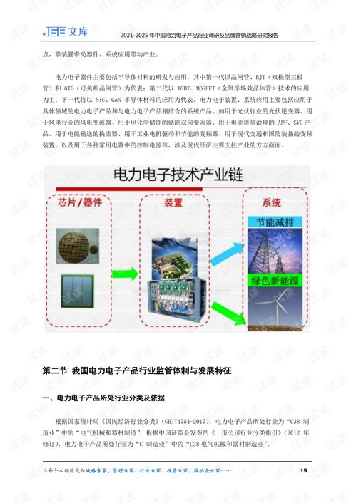 2021-2025年中國電力電子產(chǎn)品行業(yè)調(diào)研及品牌營銷戰(zhàn)略研究報告