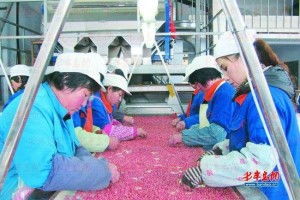 電子產(chǎn)品篩選廠 銷售策略與市場前景